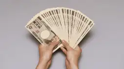 キャッシュ ローン Mizuho Bank Multipurpose Loan